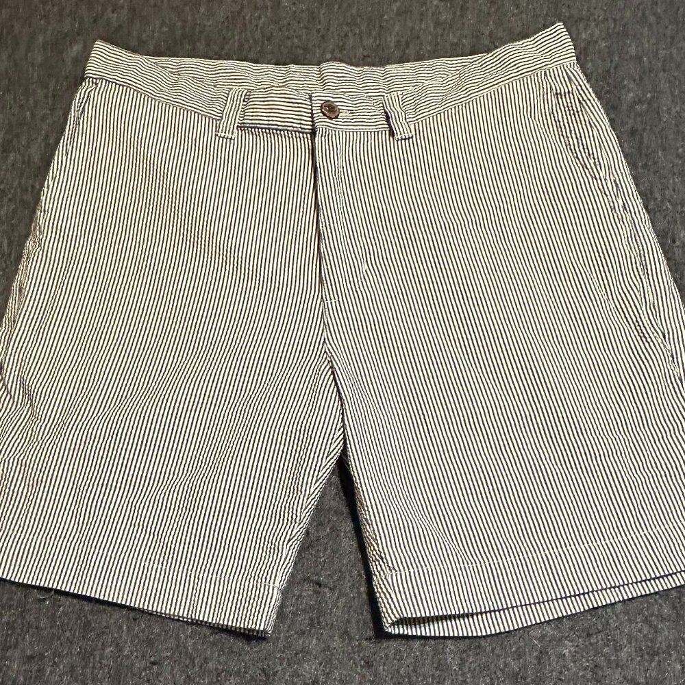 Patagonia Multi Color Golf Shorts Men  Size 33   (E/P)